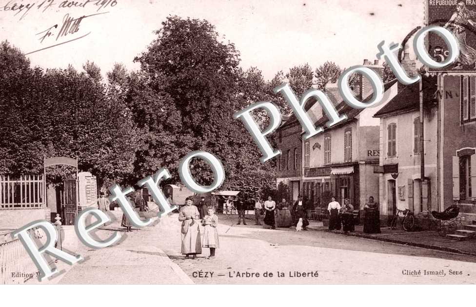 l'arbre de la liberte
