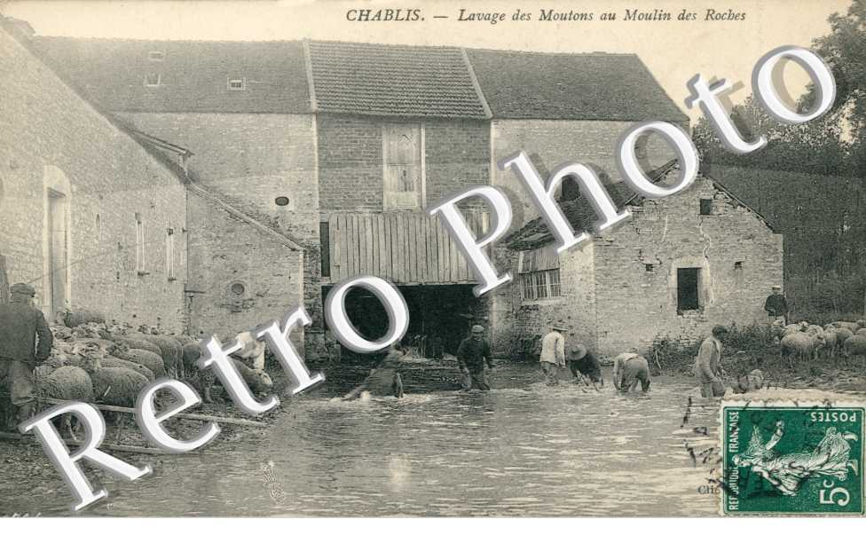 Lavage des Moutons au Moulin des Roches