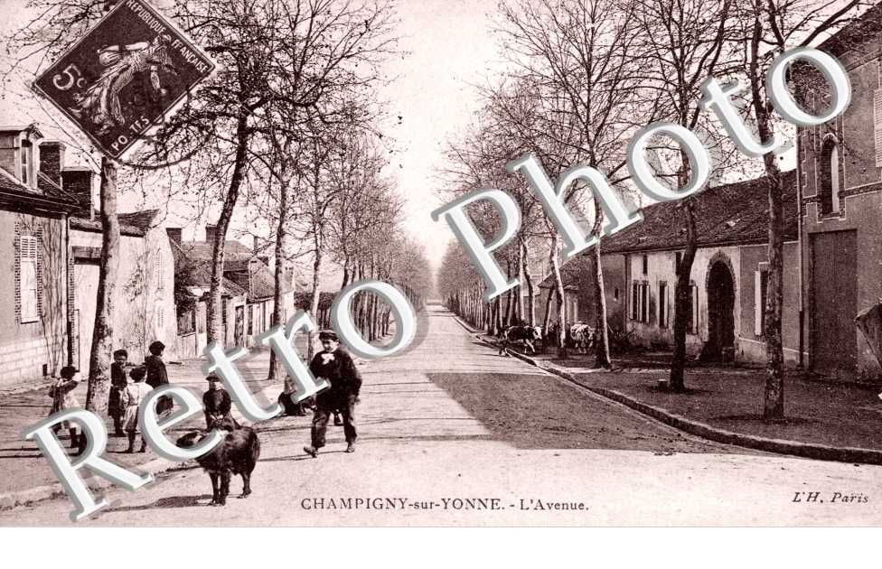 l'avenue
