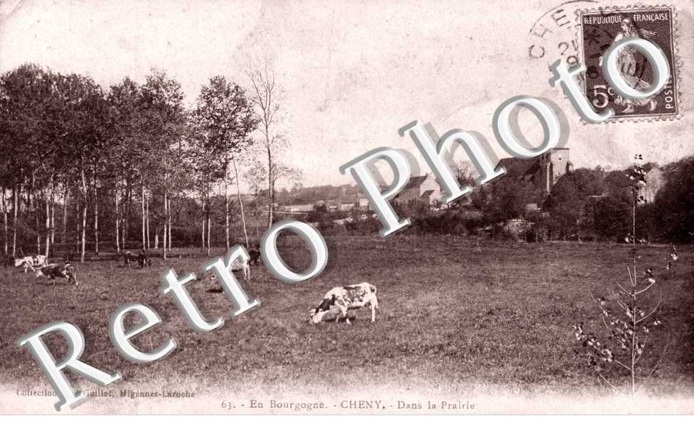 Dans la Prairie