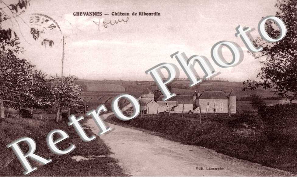 Chateau de Ribourdin