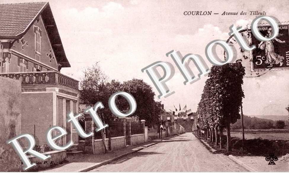 Avenue des Tilleuls