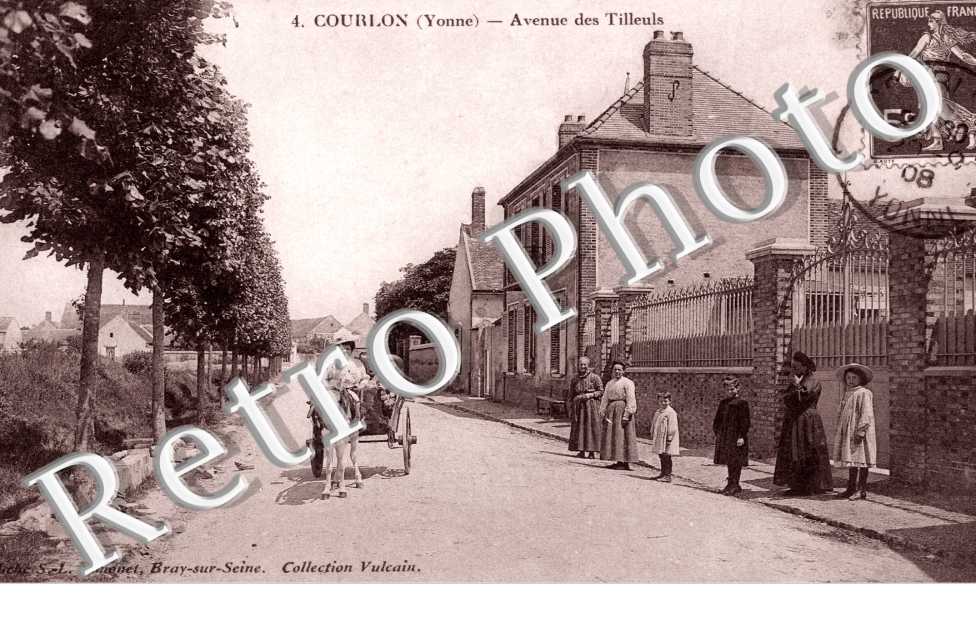 avenue des Tilleuls