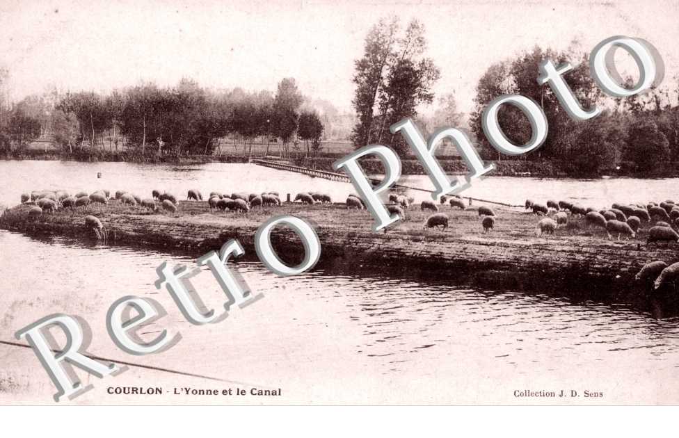 l'Yonne et le canal