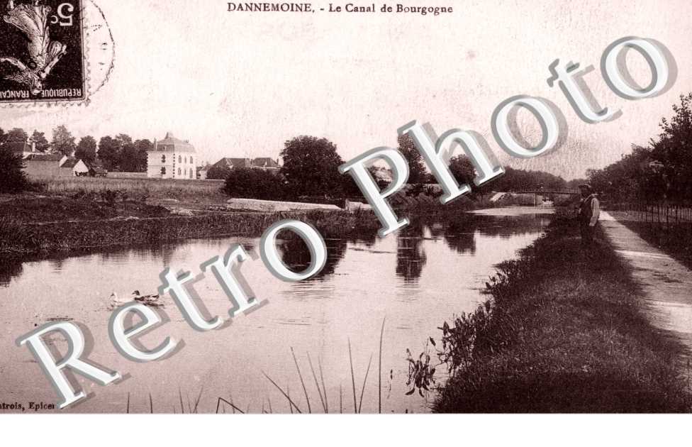 Joli sous bois au bord de l'Armançon