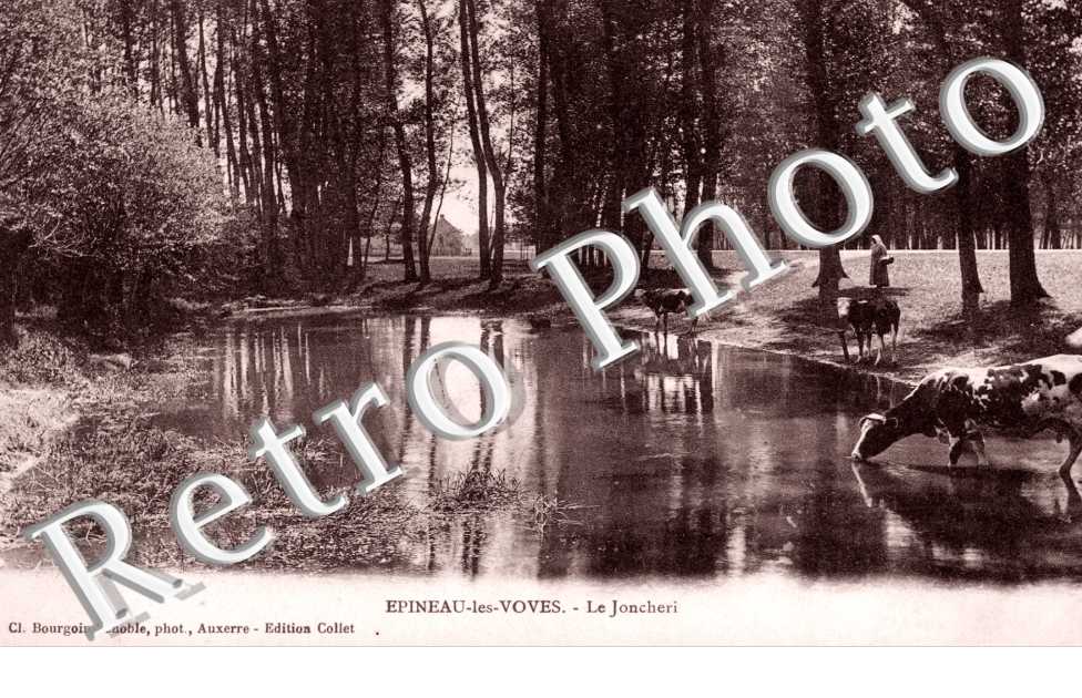 le Joncheri