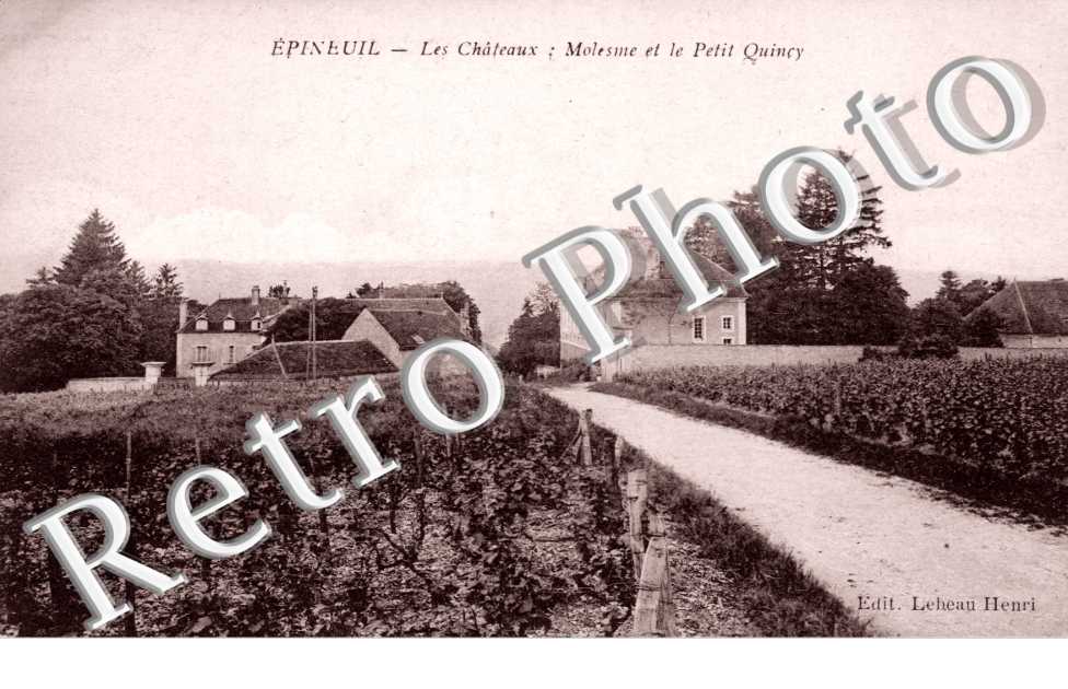 les Chateaux: Molesme et le Petit Quincy