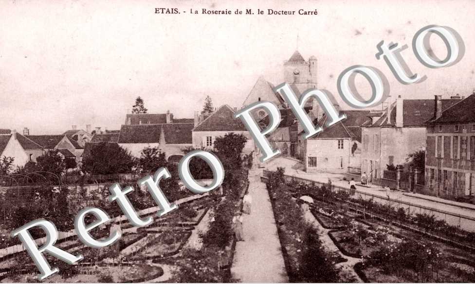 la Roseraie de Monsieur le Docteur Carre