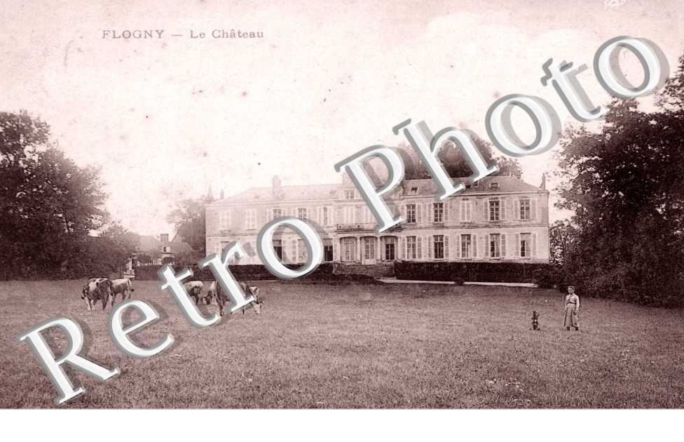 Flogny, le Chateau