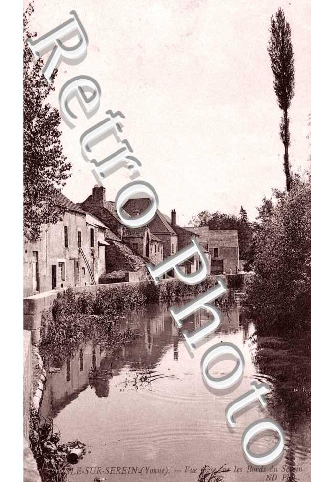 Vue prise sur les bords du Serein