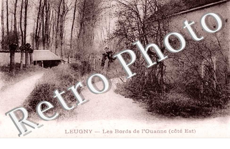 les Bords de l'Ouanne