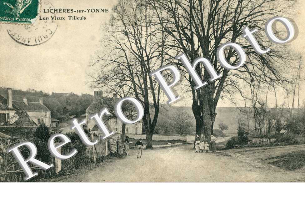 Licheres-sur-Yonne, les Vieux Tilleuls