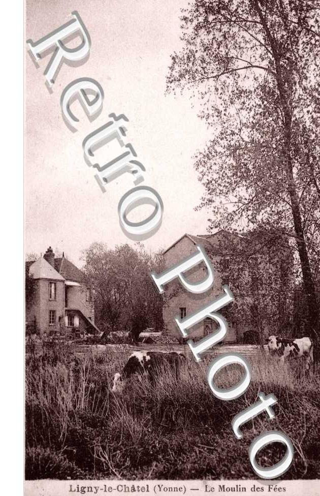 le Moulin des Fees