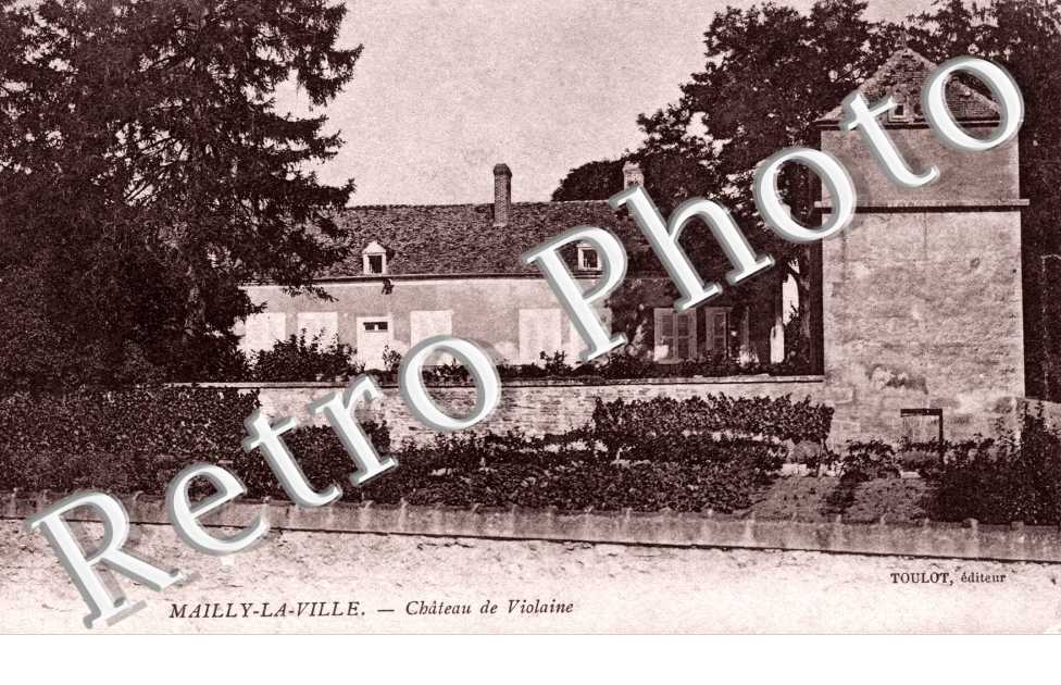 Chateau de Violaine