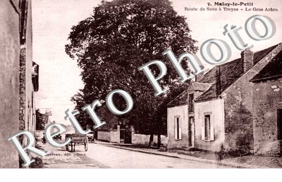 Route de Sens a Troyes, le Gros Arbre