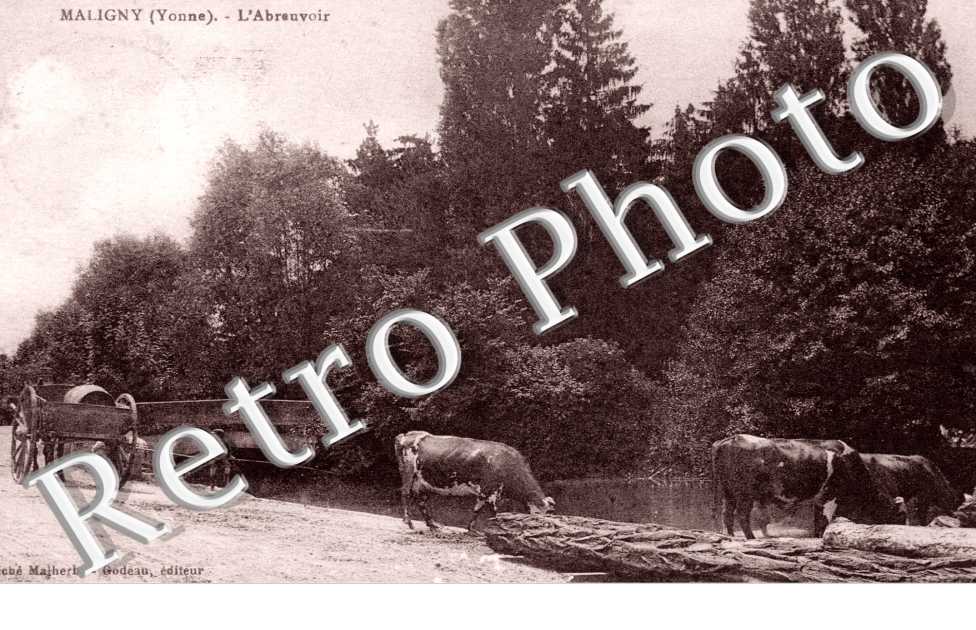 Abreuvoir