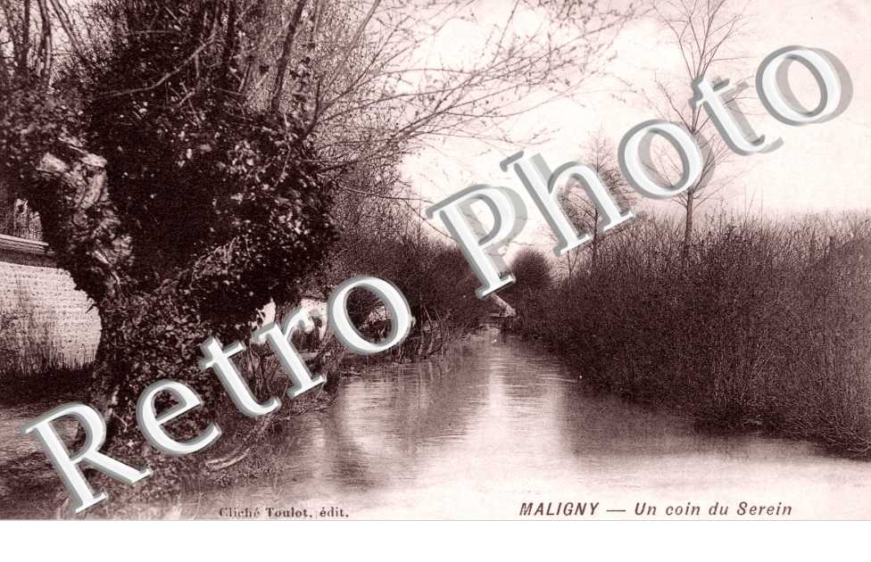 Un coin du Serein