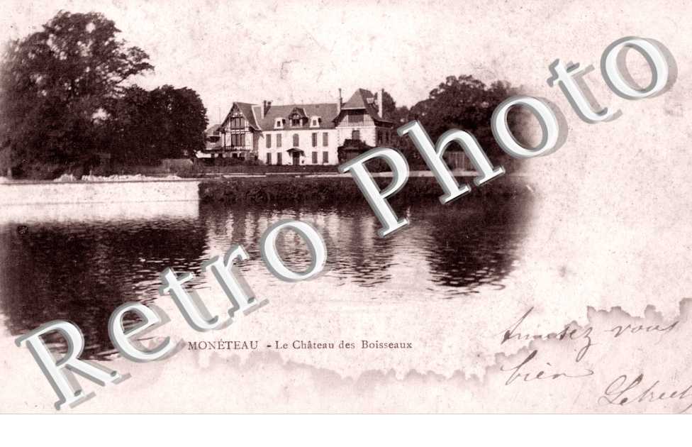 Chateau des Boisseaux