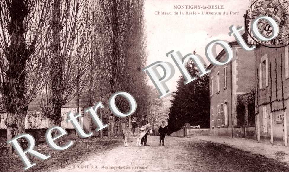 Chateau de la Resle, l'Avenue du Parc