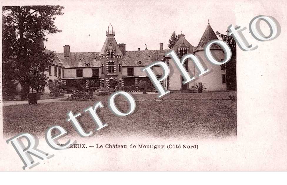 le Chateau de Montligny