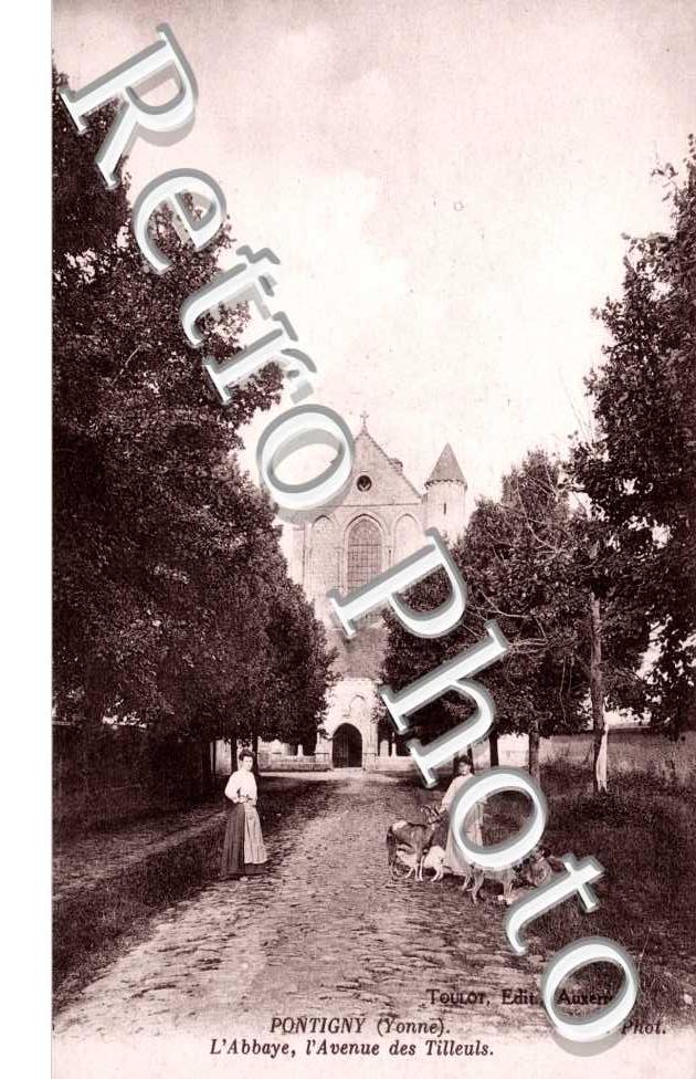 l'Abbaye, l'Avenue des Tilleuls