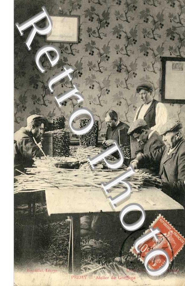Atelier de Greffage