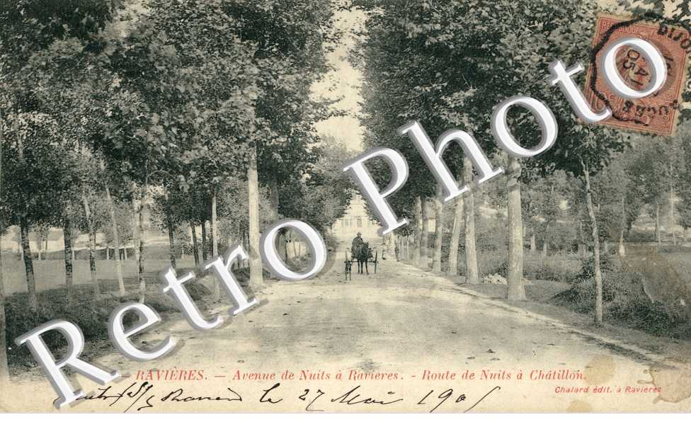 Avenue de Nuits a Ravieres