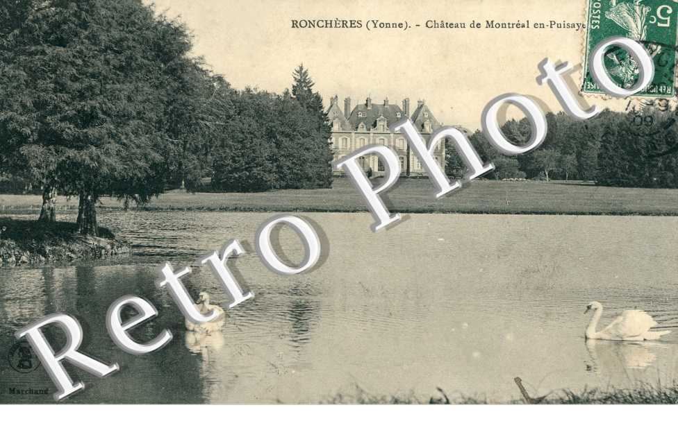 Château de Montreal en Puisaye