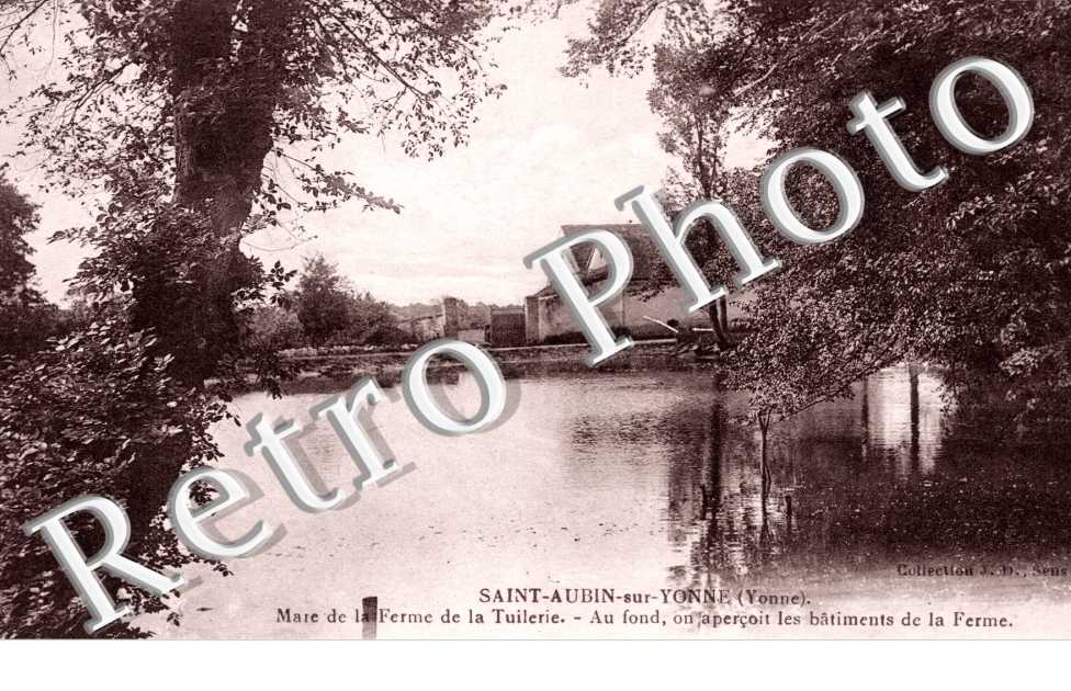 Mare de la Ferme de la Tuilerie