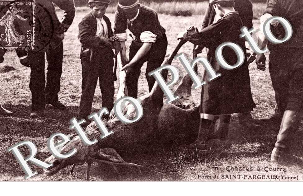 Chasse a Courre - Un cerf Abattu