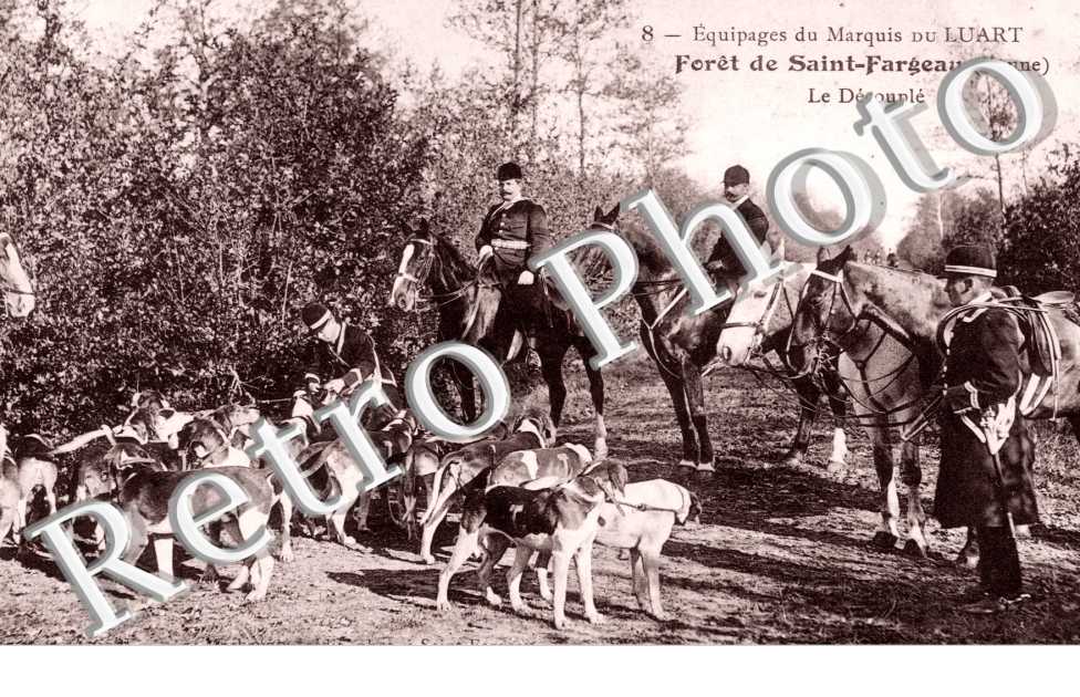 Equipages du Marquis du Luart, le Decouple dans la foret
