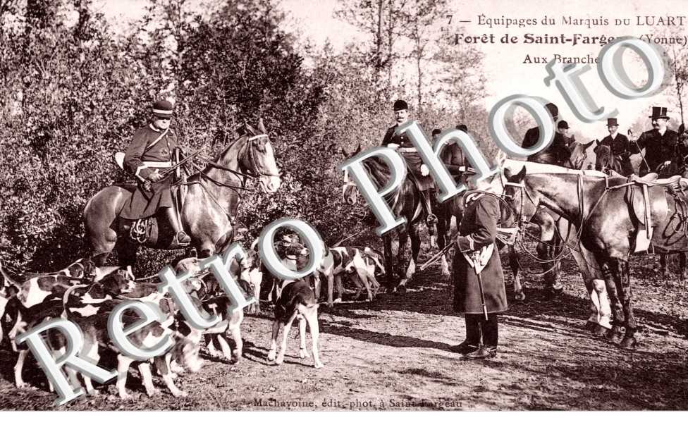 Equipage du Marquis du Luart - Aux Branches