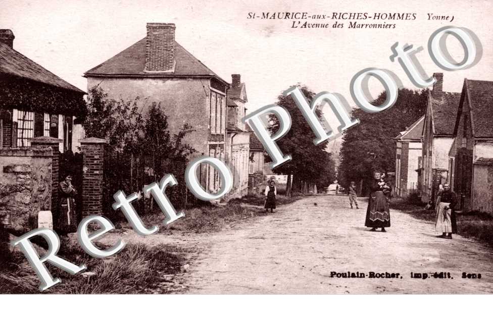L'avenue des Marronniers