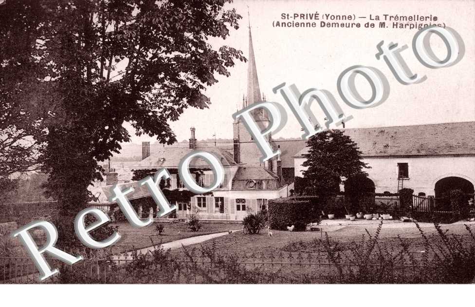 La tremellerie