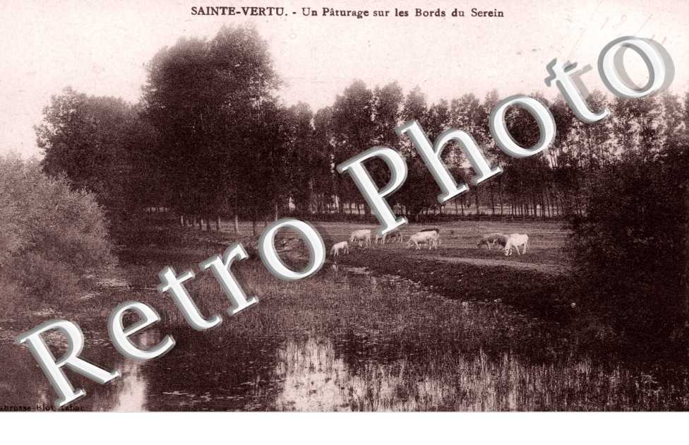 Un Paturage sur les Bords du Serein