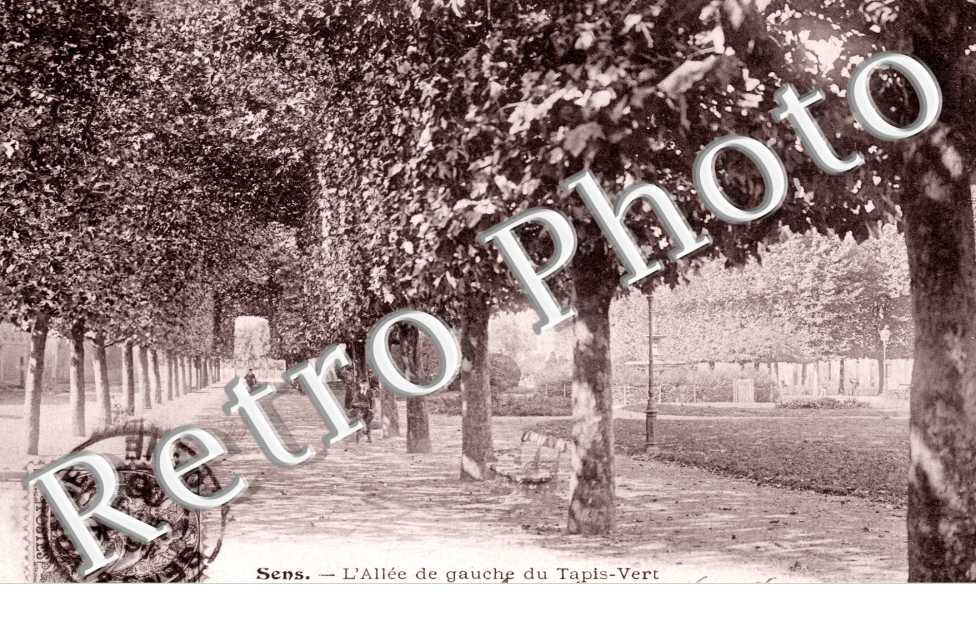 l'allee gauche du Tapis vert