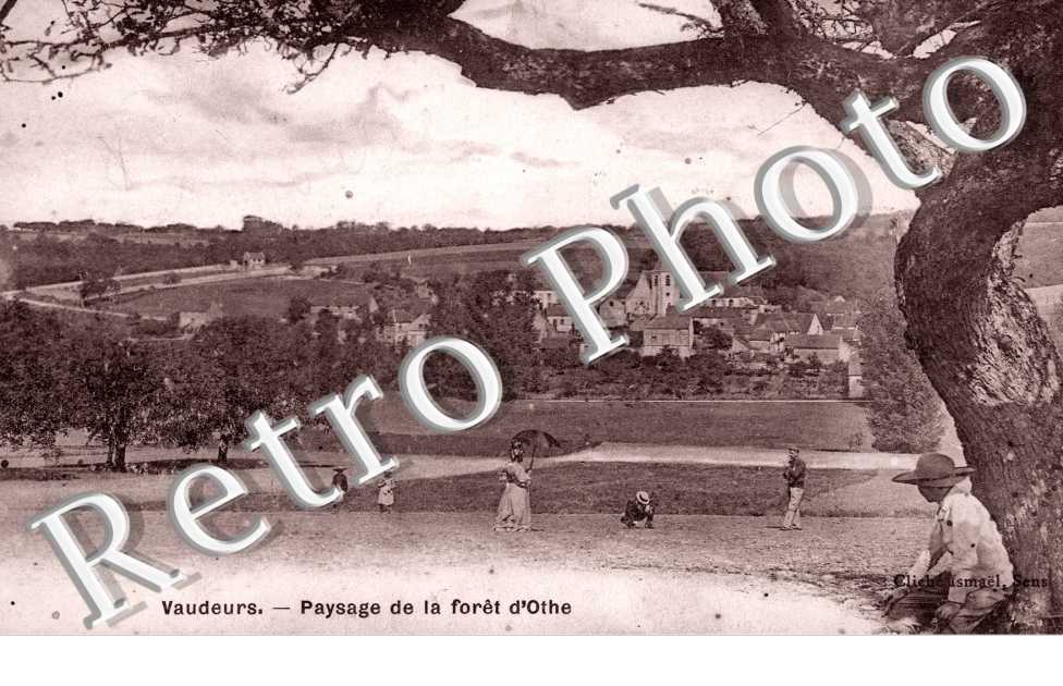 Paysage de la foret d'Othe