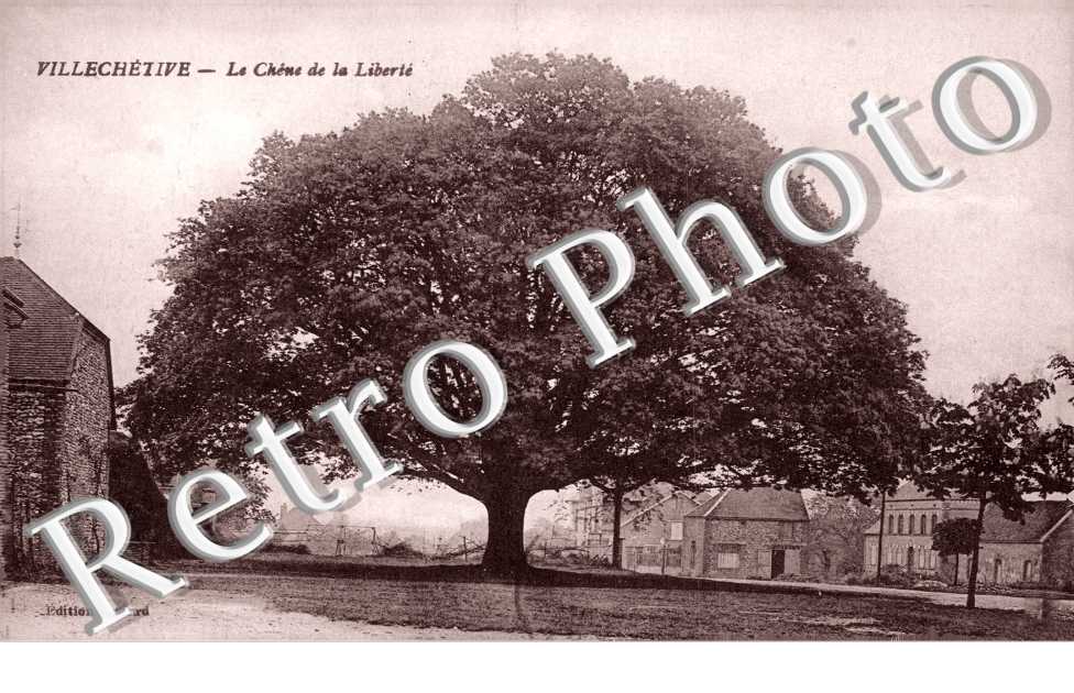 Le chene de la liberte