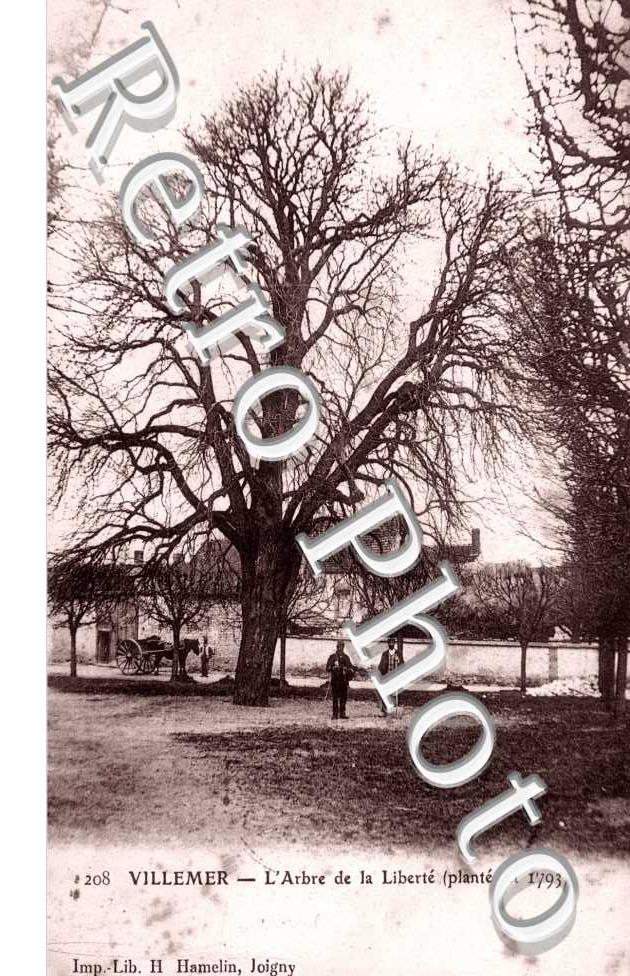 l'Arbre de la Liberte plante en 1793