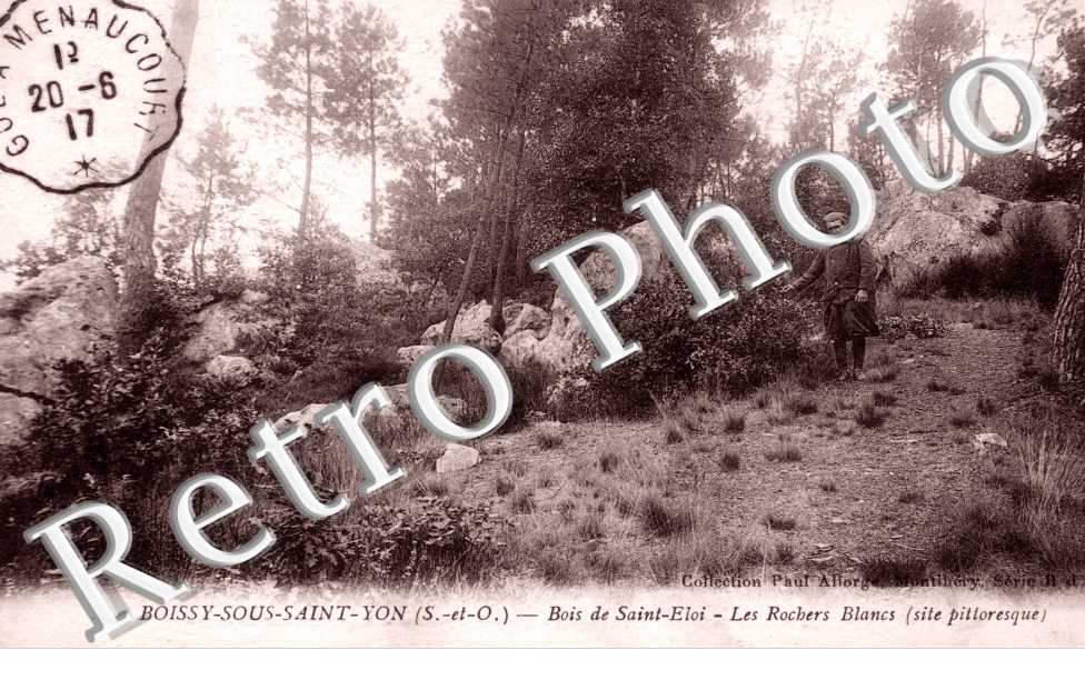 Bois de Saint Eloi