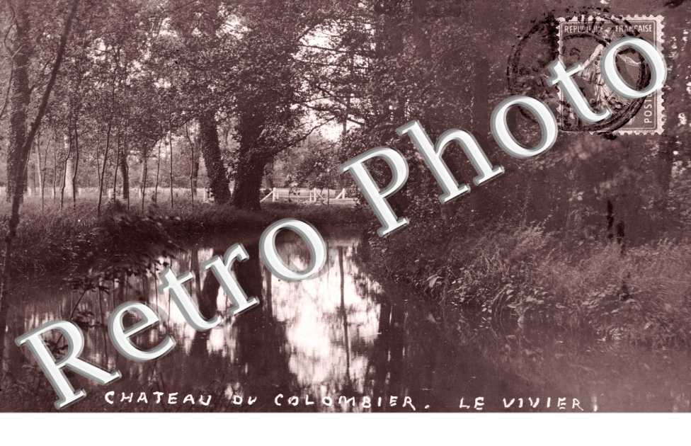 Chateau du Colombier, le Vivier