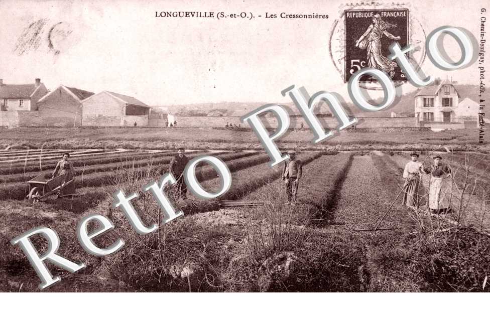LONGUEVILLE  les cressionnieres