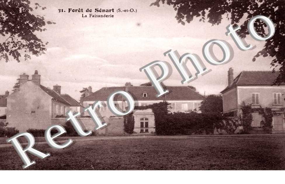 Foret de Senart  -  La Faisanderie