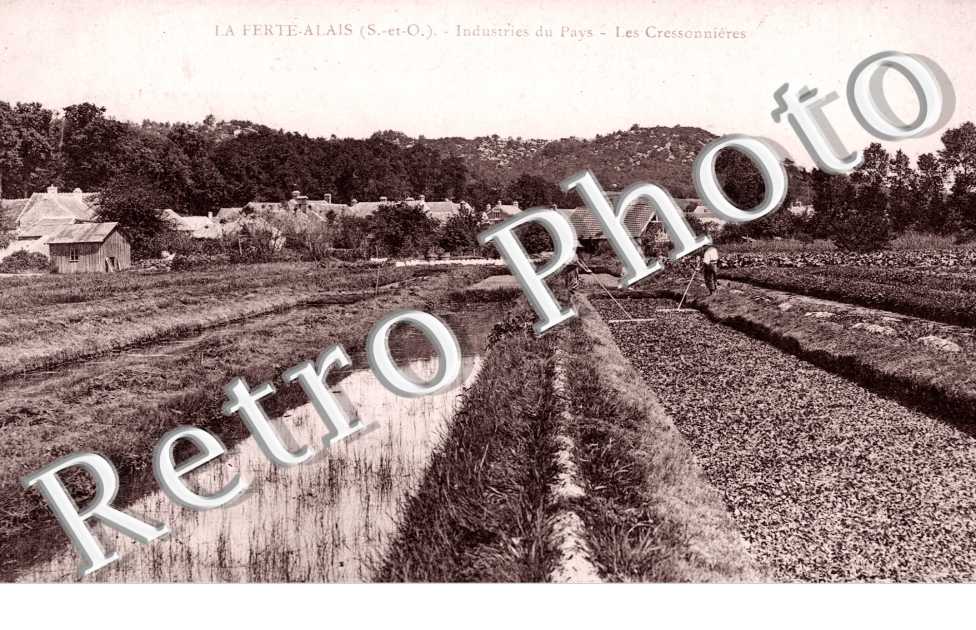 Industries du Pays, les Cressonnieres