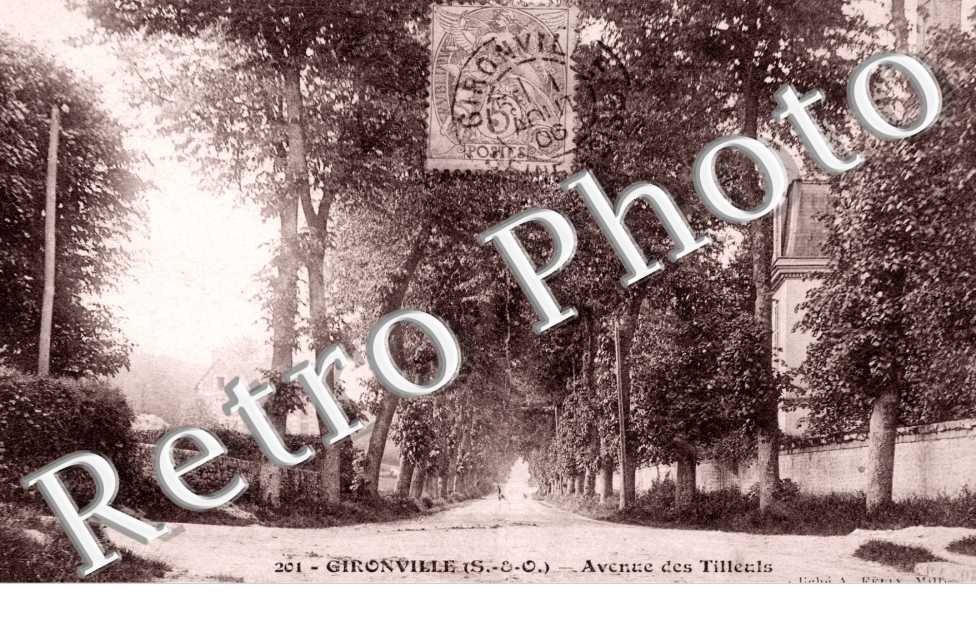 Avenue des Tilleuls
