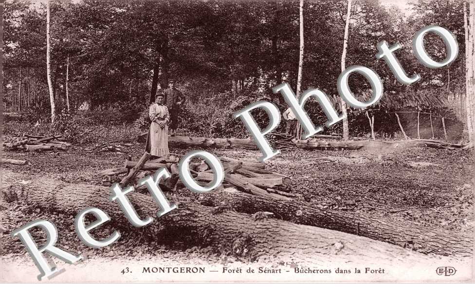Foret de Senart, Bucherons dans la Foret