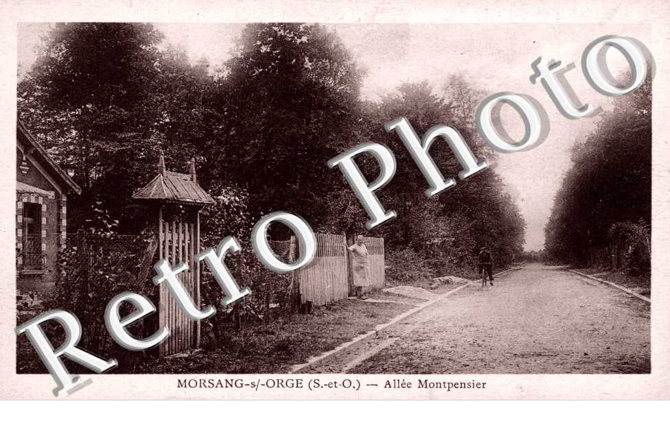 Allee Montpensier