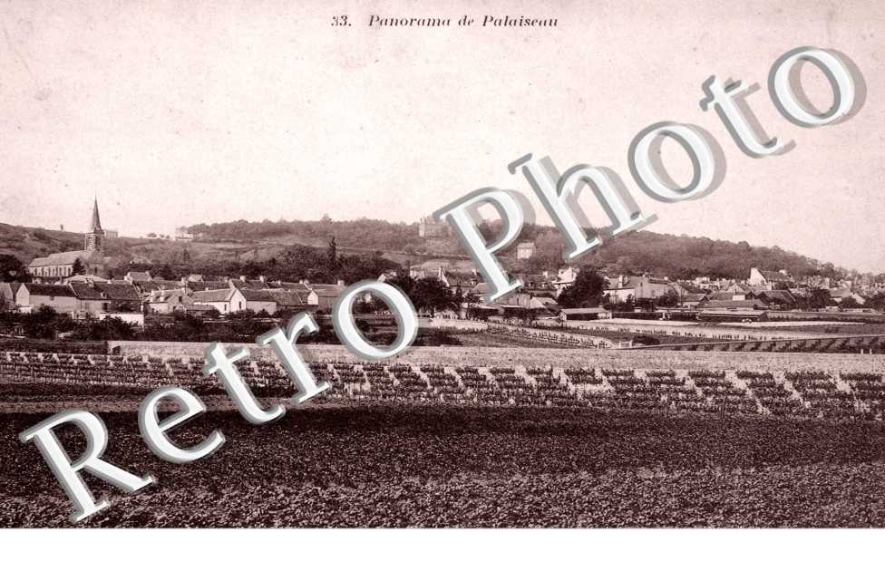 Panorama