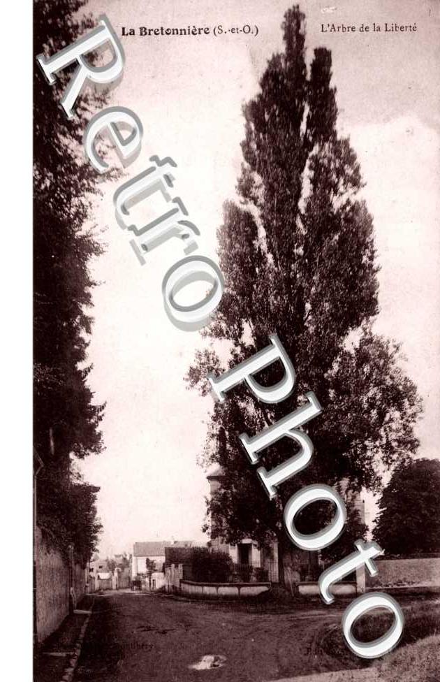 l'arbre de la liberte