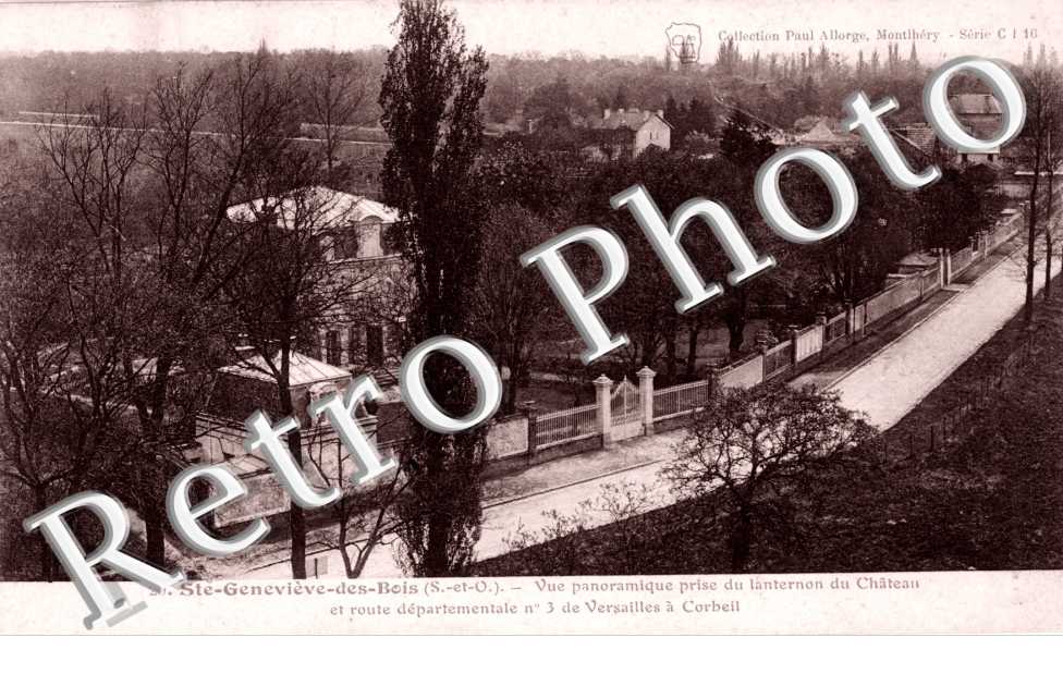 vue panoramique prise du lanternon du chateau et route departementale n°3